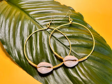 Load image into Gallery viewer, Forever Cowrie Hoop Earrings
